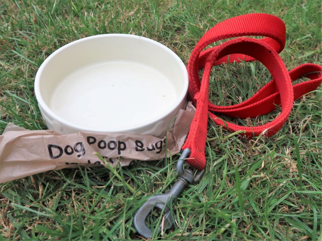 Dog poo bags, water bowl and dog lead on grass