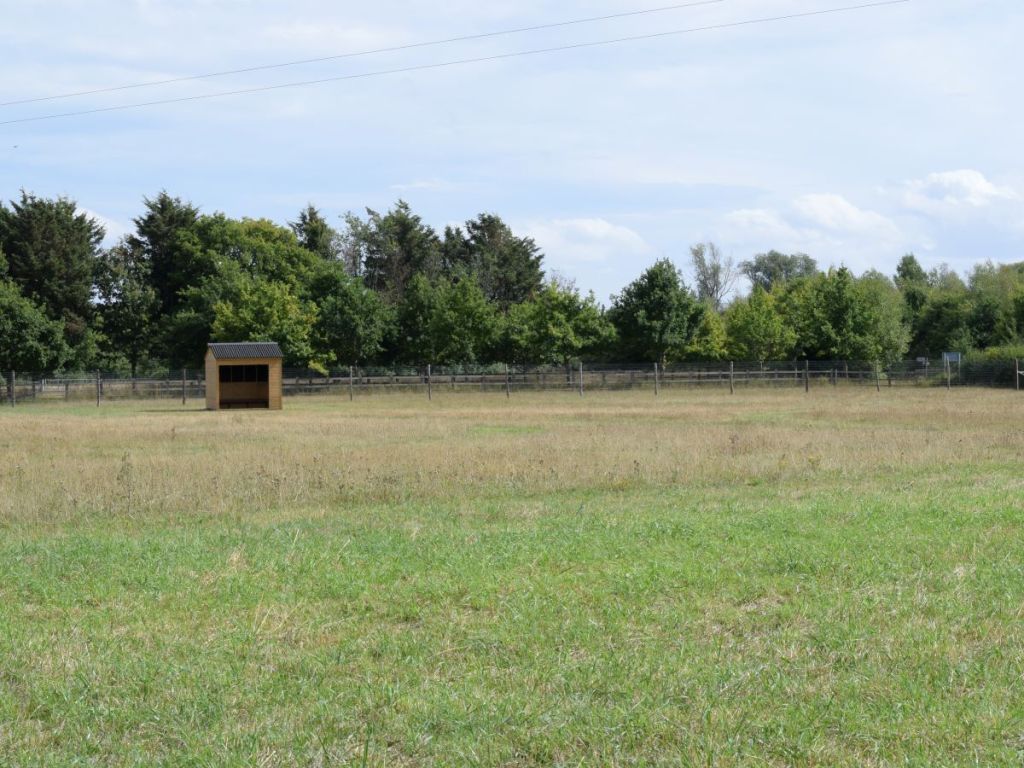 Wooden shelter in grassy secure dog field