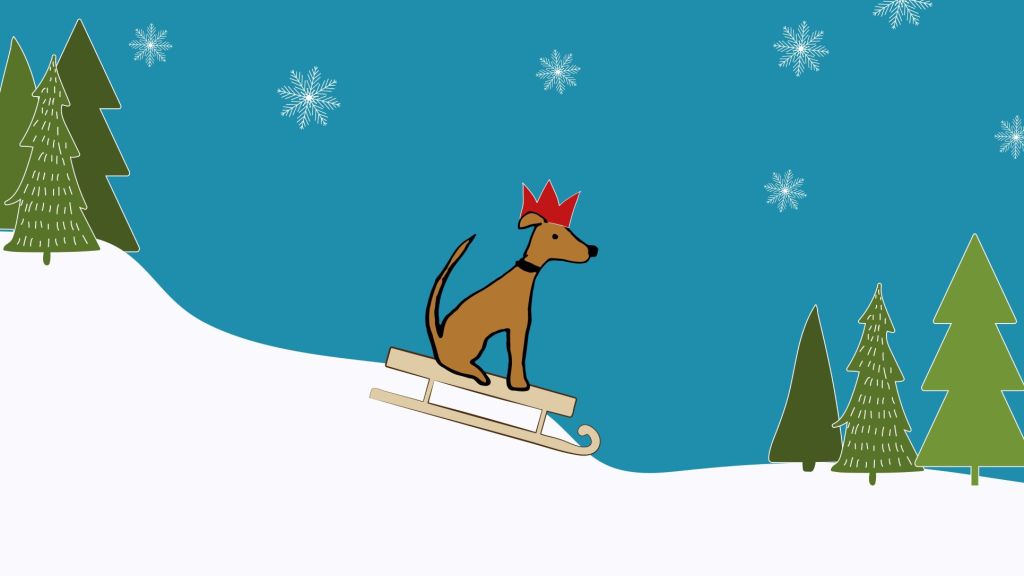 A Dog Field for&nbsp;Christmas