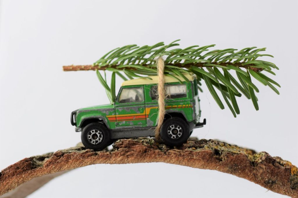 Nordmann fir Christmas tree branch on top of toy Land Rover